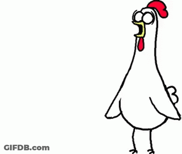 chicken-bro-fainted-rva409awse64kctl