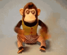 monkey-tambourine